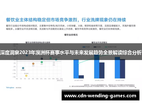 深度洞察2023年澳洲杯赛事水平与未来发展趋势全景解读综合分析 深度洞察2023年澳洲杯赛事水平与未来发展趋势全景解读综合分析