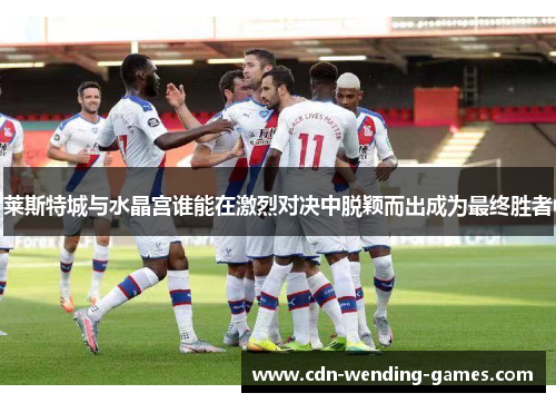 莱斯特城与水晶宫谁能在激烈对决中脱颖而出成为最终胜者 莱斯特城与水晶宫谁能在激烈对决中脱颖而出成为最终胜者