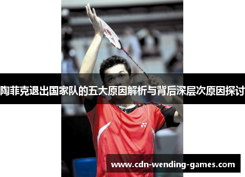 陶菲克退出国家队的五大原因解析与背后深层次原因探讨 陶菲克退出国家队的五大原因解析与背后深层次原因探讨